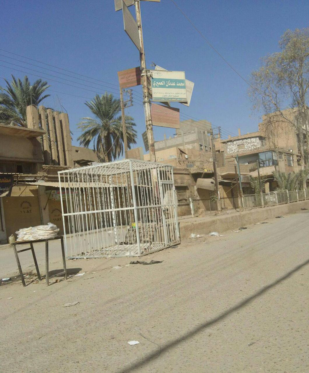 للمرة الأولى.. تنظيم "الدولة"...