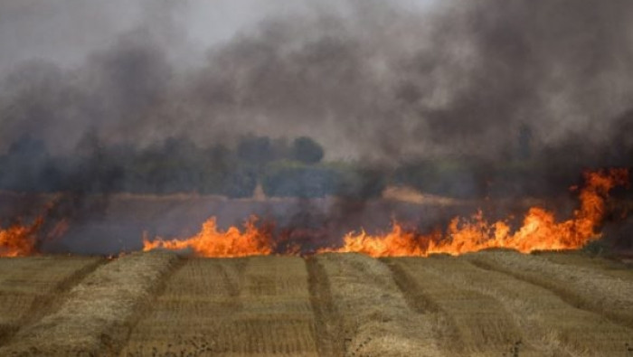 مجهولون يضرمون النيران بالأراض...