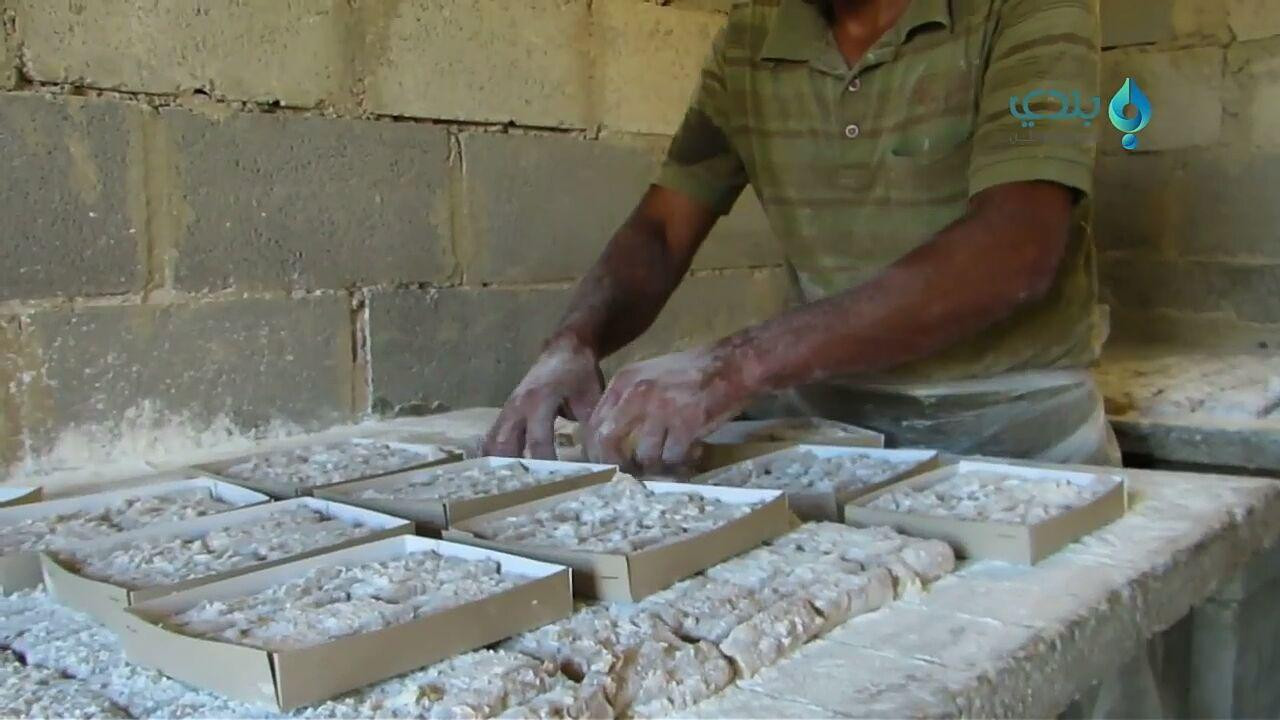 بجهوده الفردية.. "المحاميد" يس...