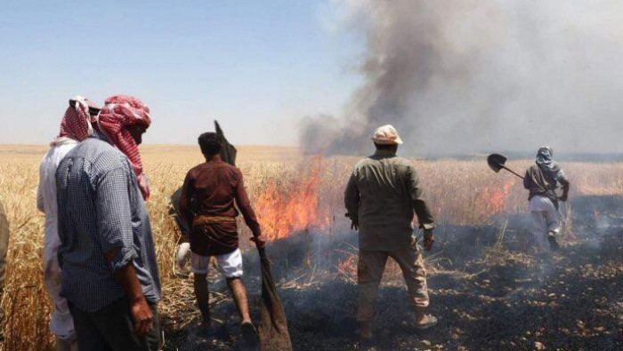 الحرائق في الحسكة مستمرة وإصاب...