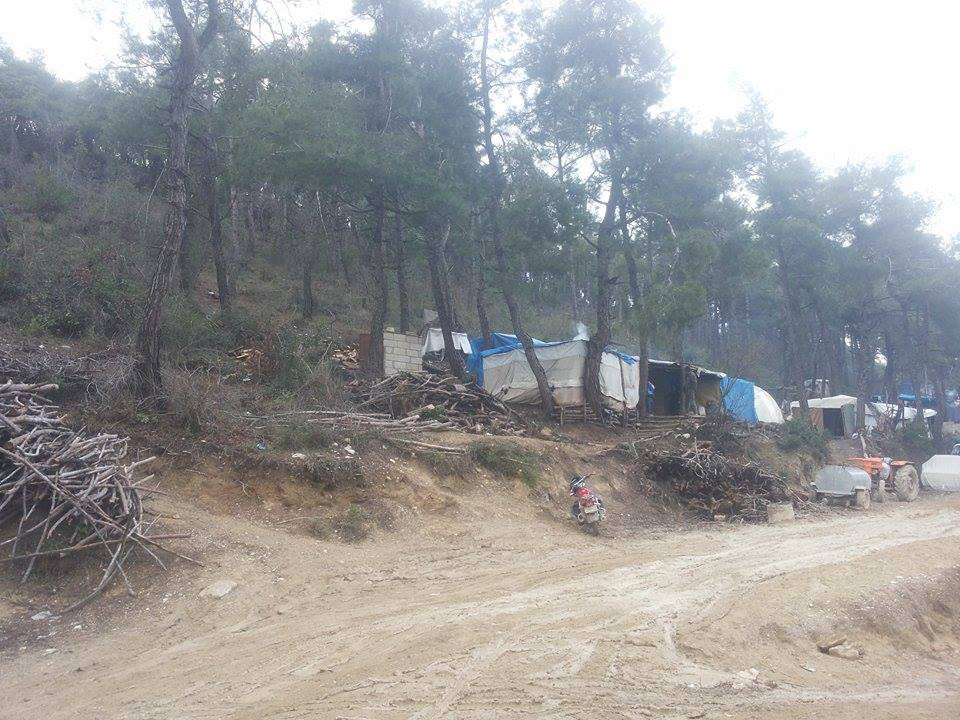 نازحو ريف اللاذقية يفترشون الأ...