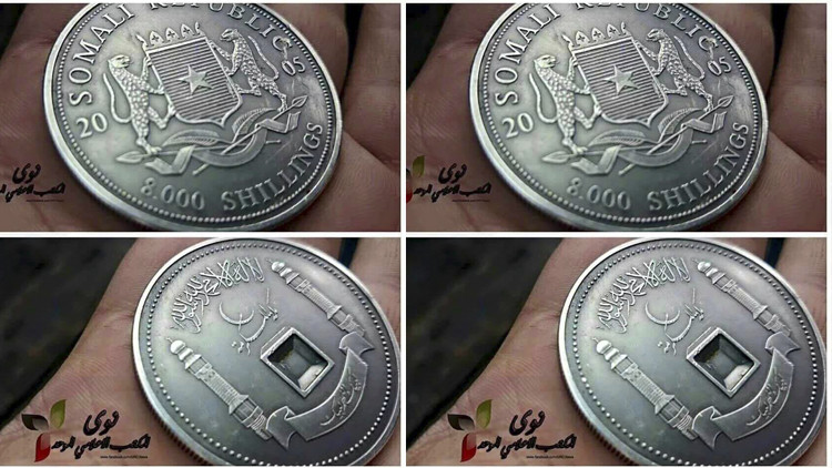 عملة صومالية تكشف جلب الأسد لم...