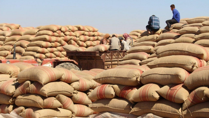 تركيا تقرر شراء محصولي القمح و...