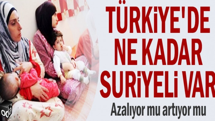 يشمل المجنّسين.. تقرير يكشف أع...