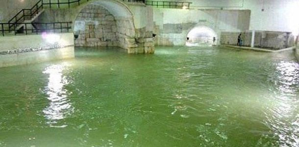 النظام على وشك التسبب بكارثة م...