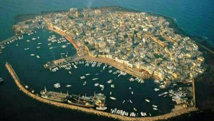 جزيرة "أرواد" تغرقها القمامة ف...