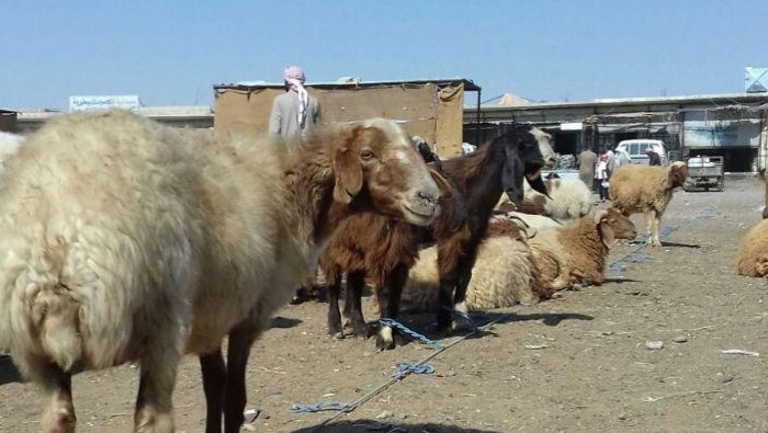 الركود يرفع أسعار اللحوم بالرق...