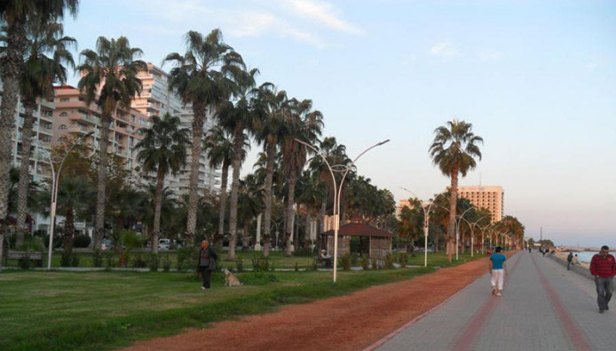 المخابرات التركية تقبض على شبك...