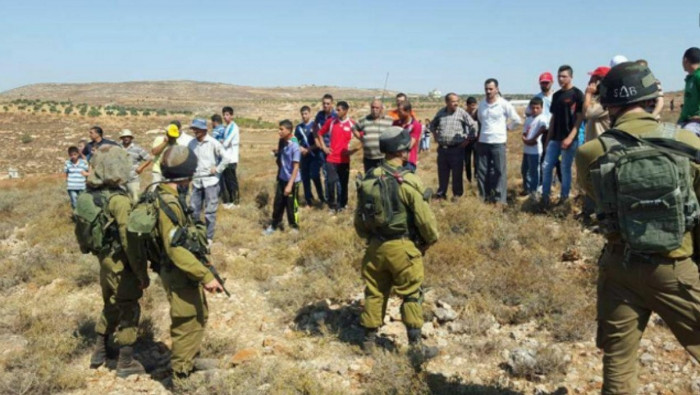 جيش الاحتلال الإسرائيلي يعتقل...