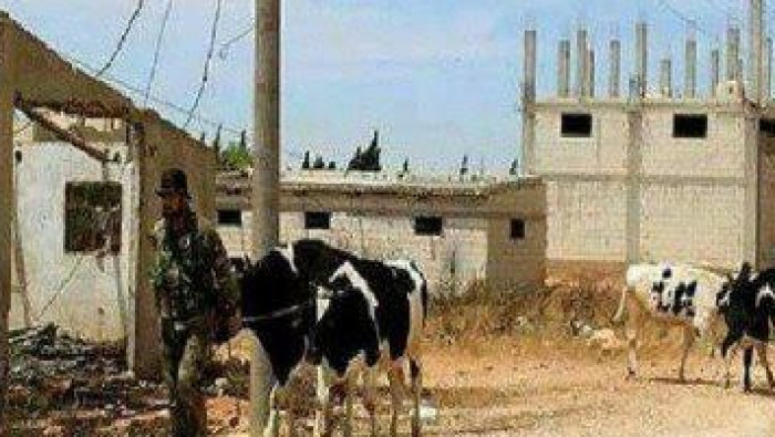 أهالي دير الزور يبادلون عناصر...