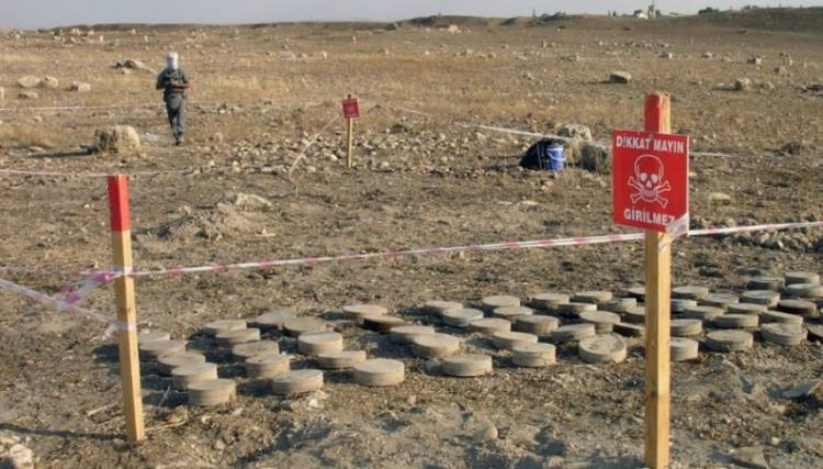 الألغام تقتل 4 مدنيين.. ولجنة...