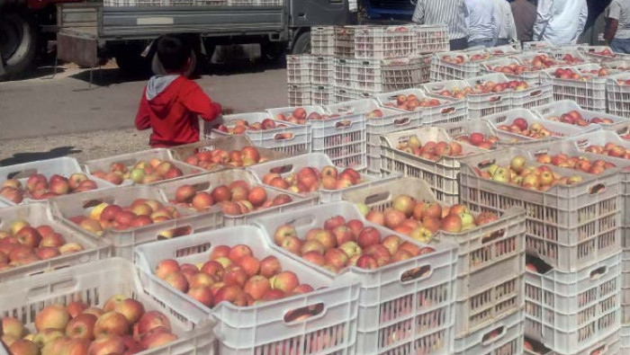 فلاحو السويداء بين فكي التجار...