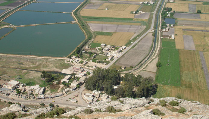 فضّل الإيرانيين عليهم.. العلوي...