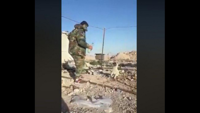 بالفيديو.. ضابط بقوات الأسد يح...