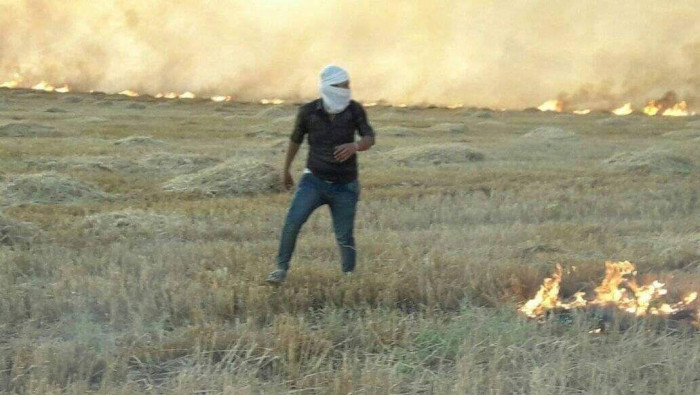 حرائق جديدة تلتهم الأراضي الزر...