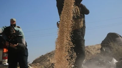 القبض على لبنانيين يحاولان تهر...