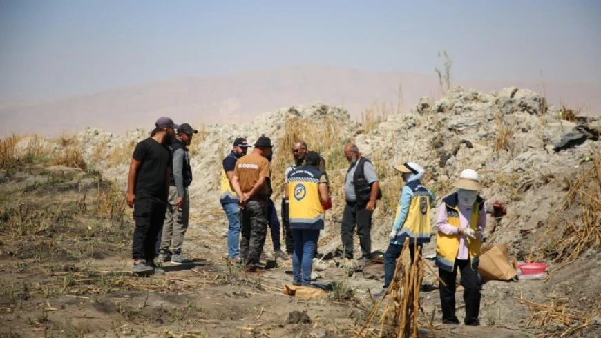 اكتشاف مقبرة جماعية بحي الميدا...