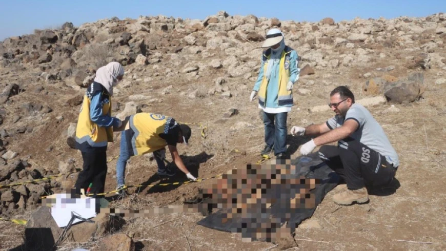 العثور على مقبرة جماعية بحي ال...