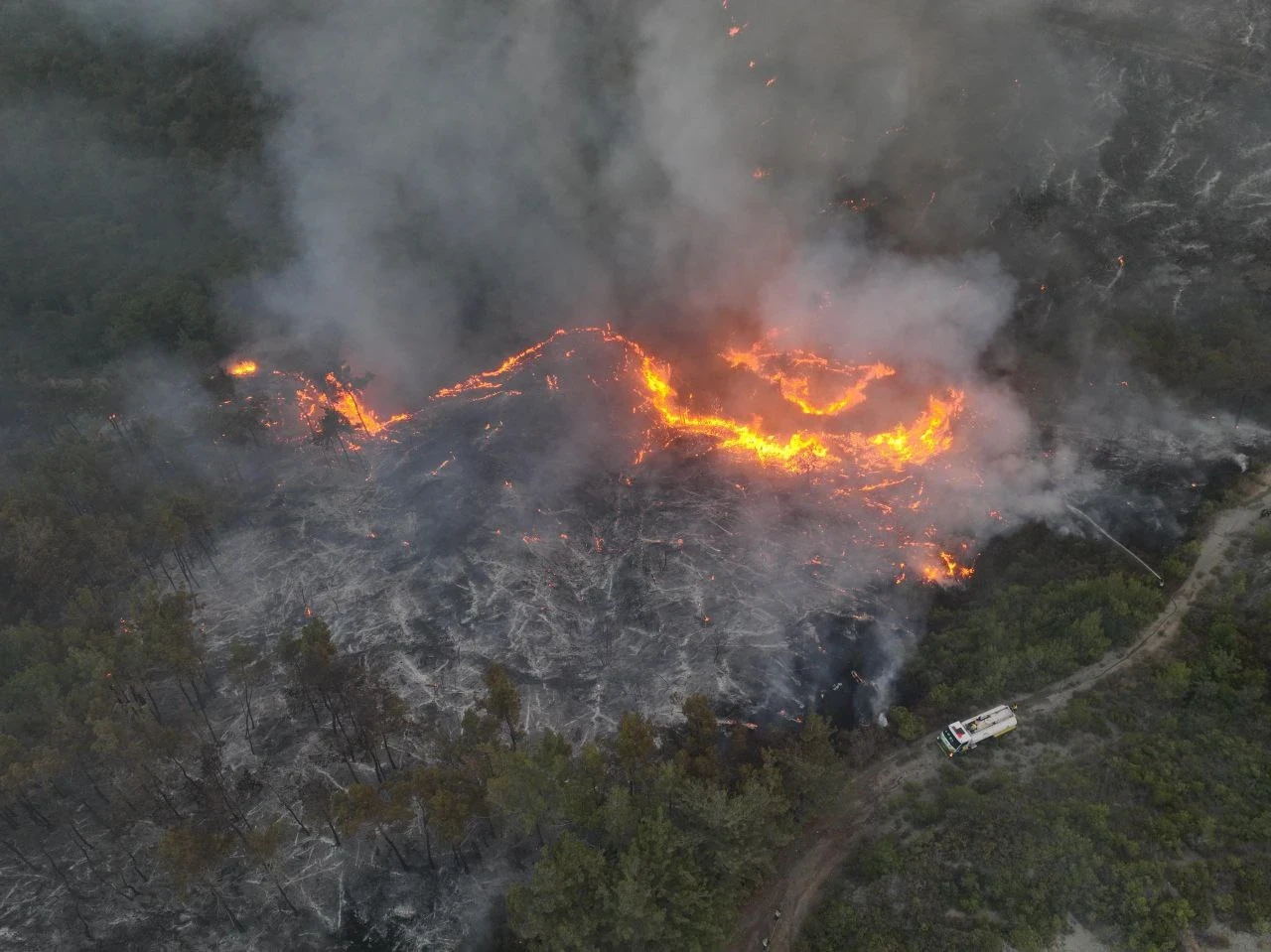 حرائق ضخمة تجتاح جبال اللاذقية...