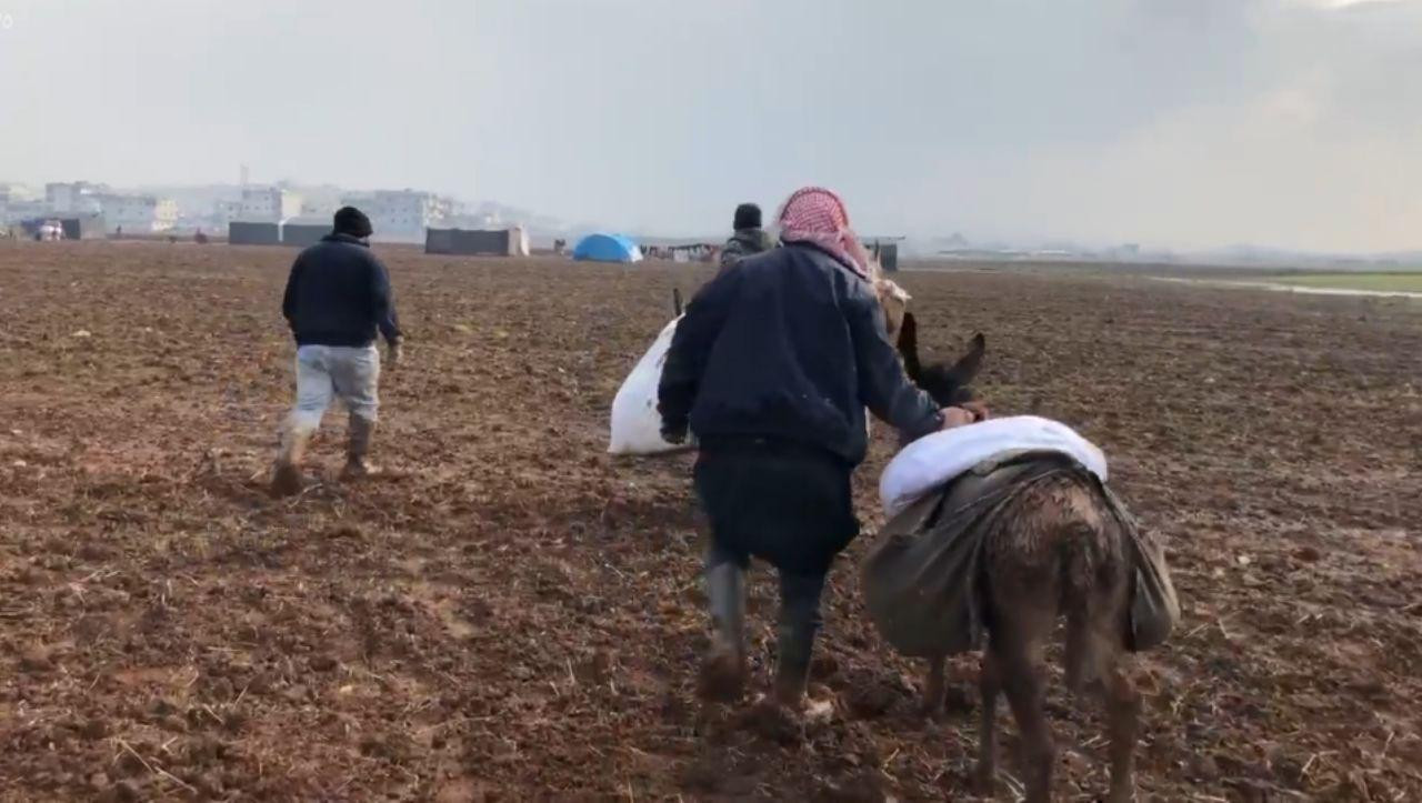 الحمير.. وسيلة لنقل الخبز لداخ...