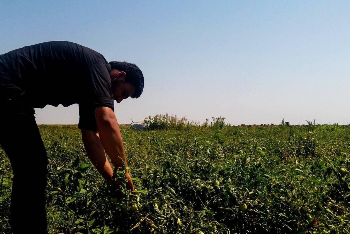 رغم القلق.. الهطولات المطرية ت...