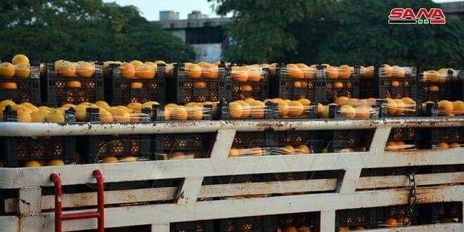 ما حجم صادرات النظام من الحمضي...