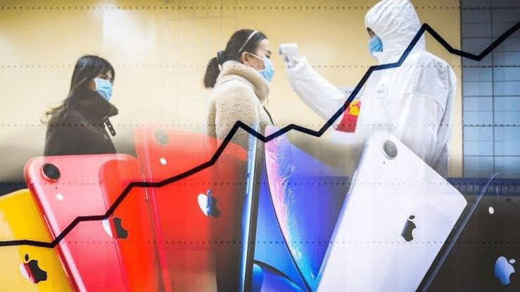 ليس البشر فقط.. "كورونا" يهدد...