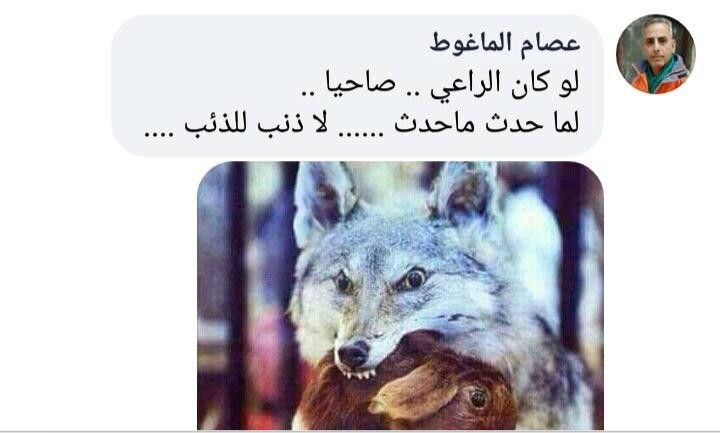 موالون يناشدون مملوك ويتجاهلون...