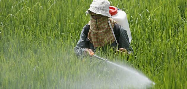 تركيا.. وفاة شابة سورية جراء ت...