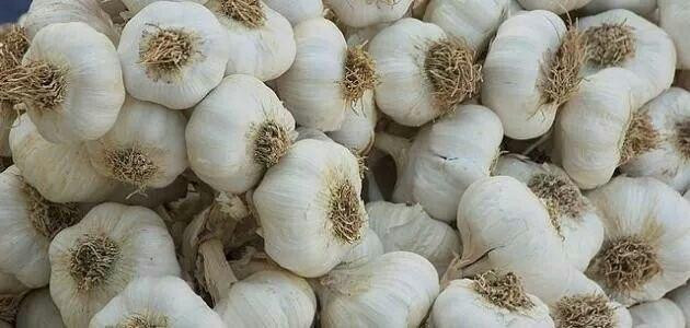 موقع موالٍ يهاجم وزارة الزراعة...