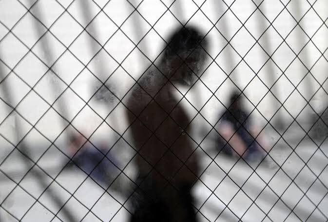 "رايتس ووتش" تطالب النظام بالك...