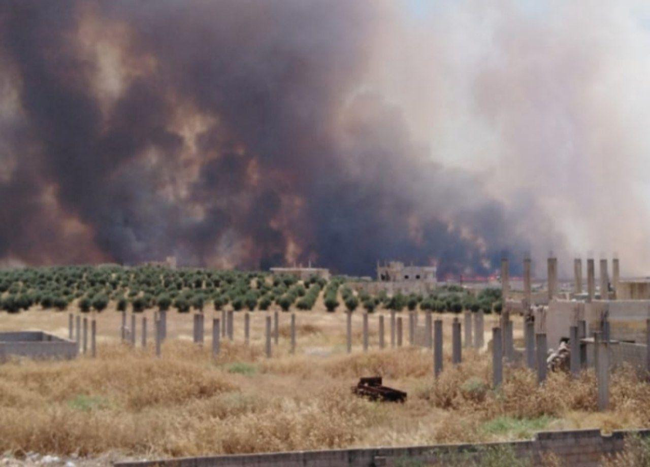 حرائق جديدة تلتهم المحاصيل الز...