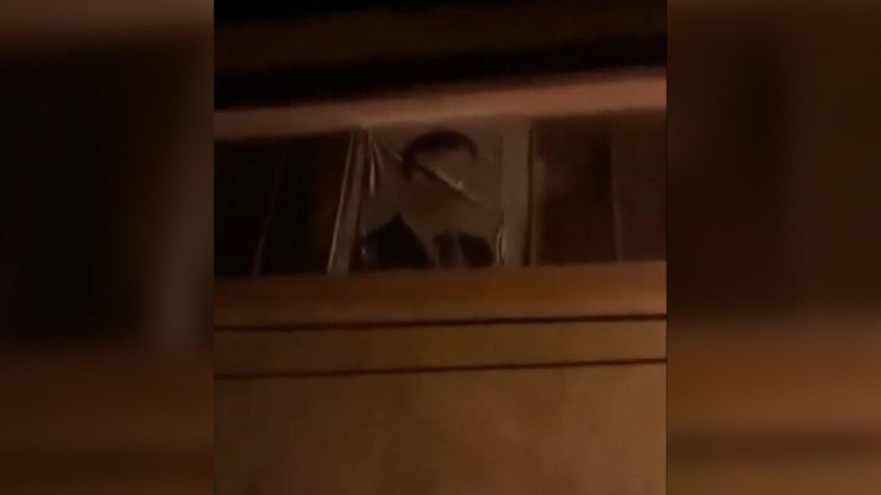 بالفيديو.. نشطاء يرشقون صورة "...