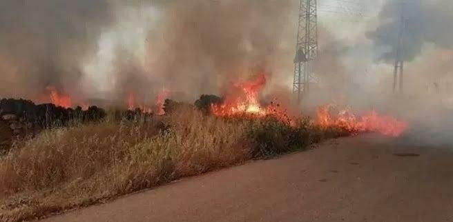 الحرائق تلتهم 400 دونم من محصو...