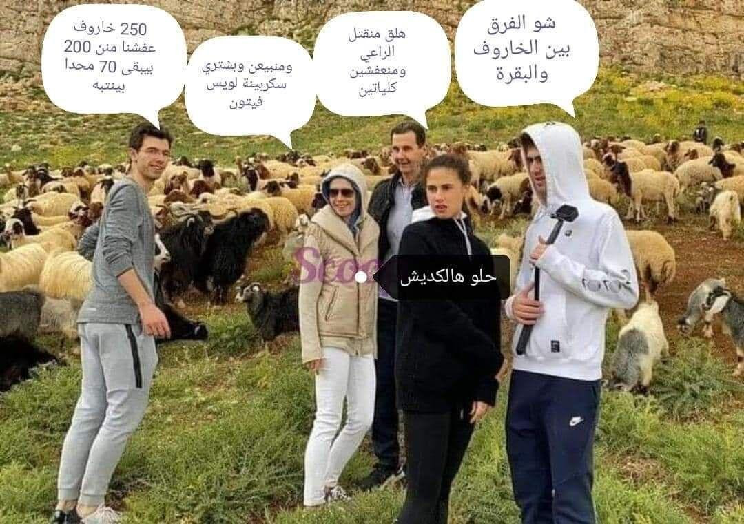 عائلة "الأسد" وقطيع "الأغنام"....