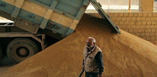 النظام يطرح مناقصة لشراء 200 أ...