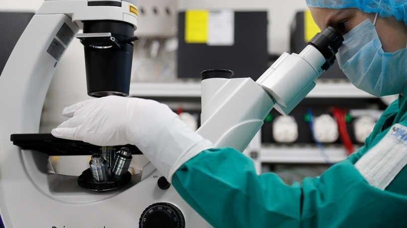 العلماء يكتشفون "وصلة مفقودة"...