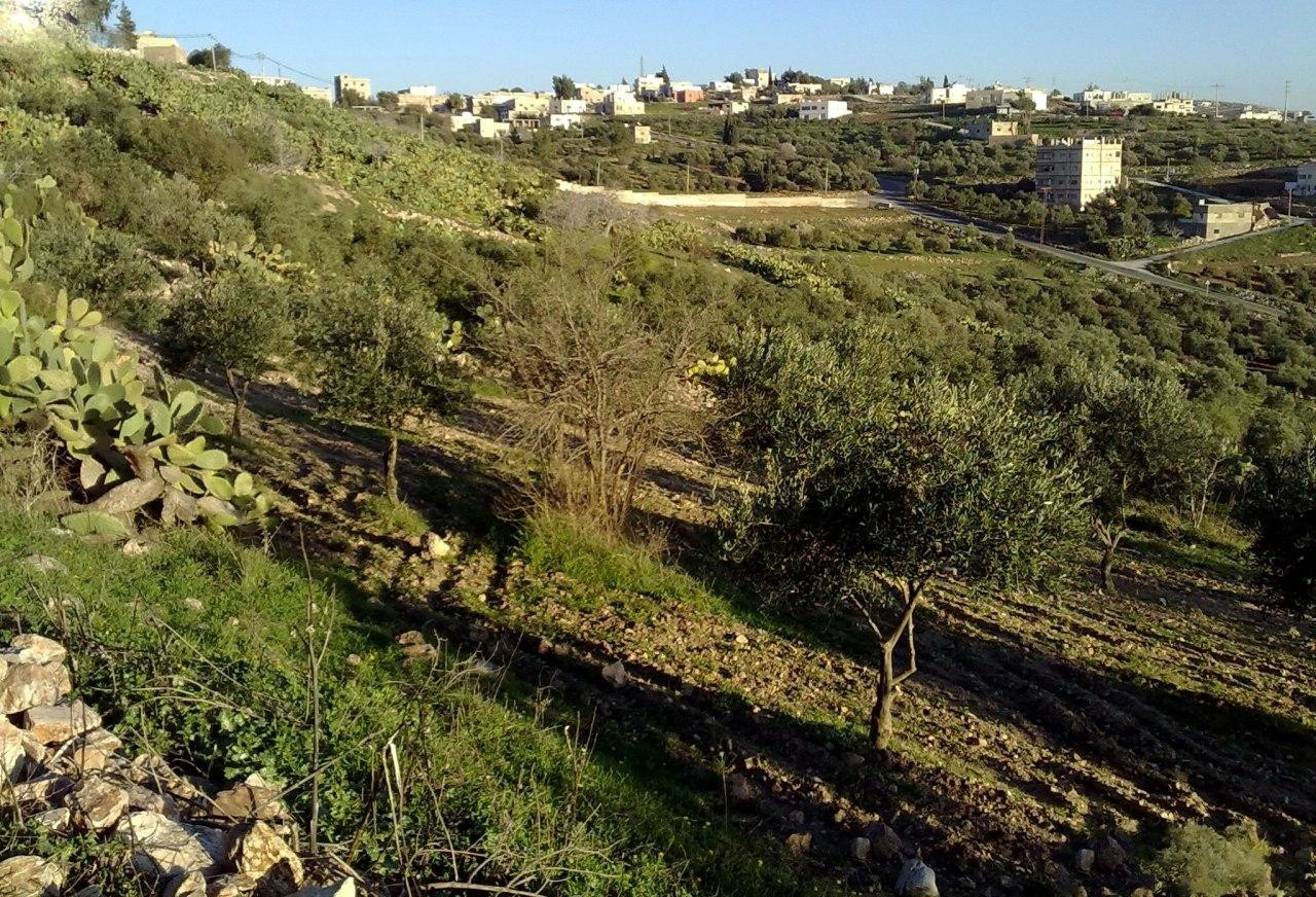 اغتيال رئيس بلدية شمال درعا