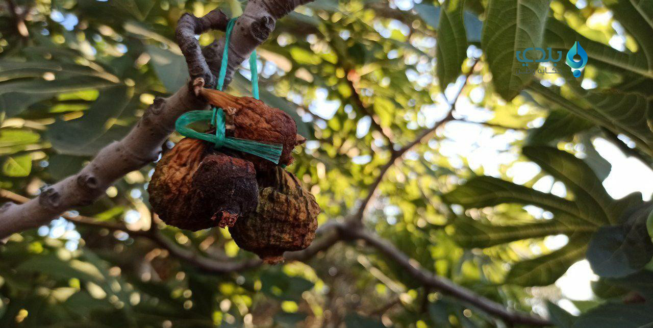 جرحى مدنيون بانفجار في جبل الز...