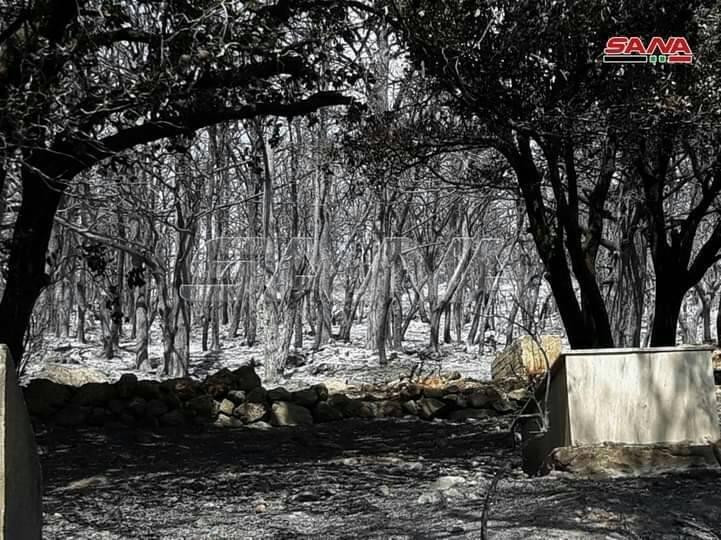 الحرائق تلاحق سكان عين الكروم...