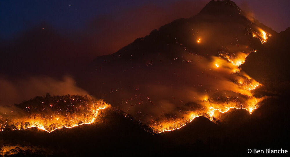 استمرار اشتعال الحرائق في غابا...