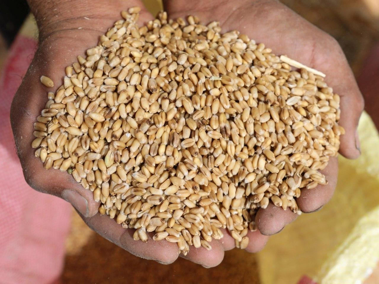 القبض على أربعة تجار بحوزتهم أ...