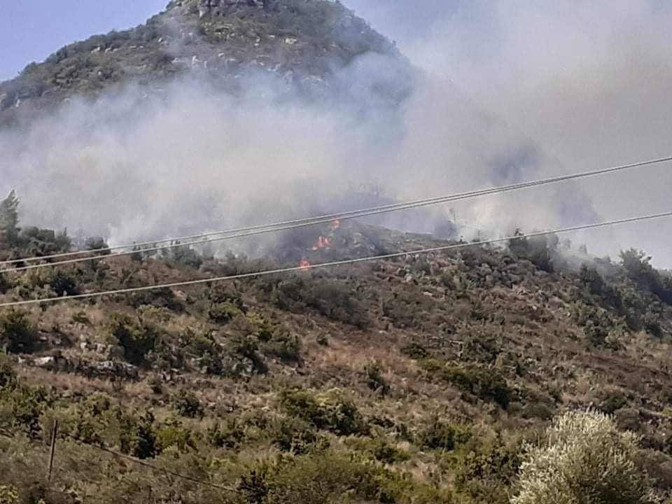 حماة.. حرائق جديدة تلتهم أحراش...