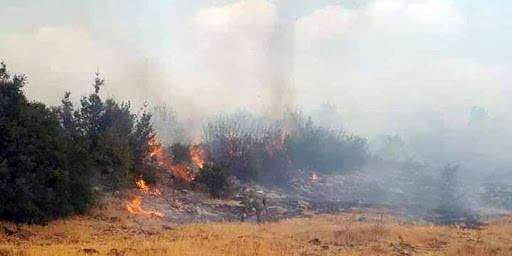 مديرية زراعة السويداء: الحرائق...