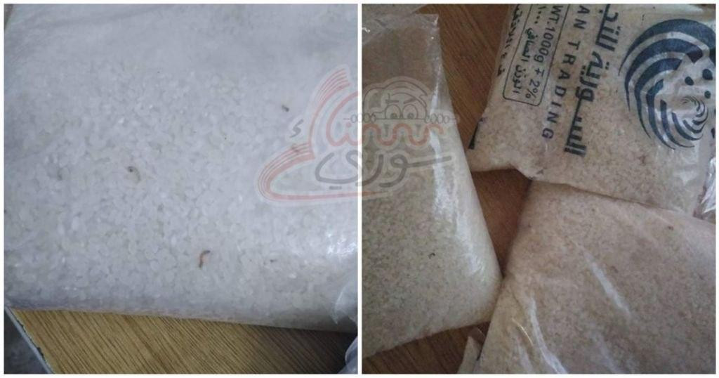 ديدان وحشرات بمادة "الأرز" في...
