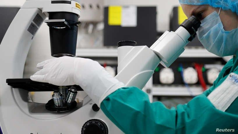 مفاجأة علمية.. حوالي نصف سكان...