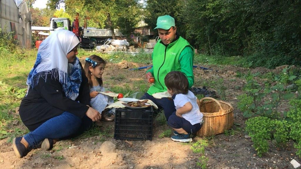 شاب سوري يزرع الملوخية وباذنجا...