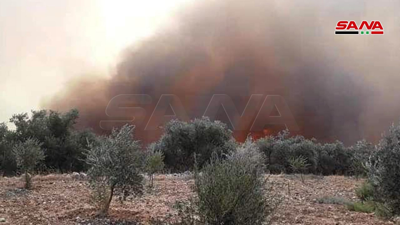 الحرائق تلتهم مساحات واسعة وتت...