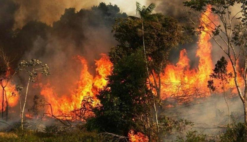 دكتور في المناخ: حرائق الساحل...