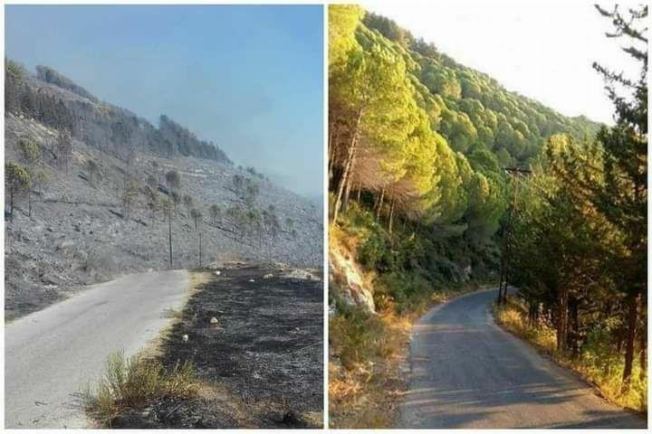 النظام يُعلن إخماد الحرائق في...